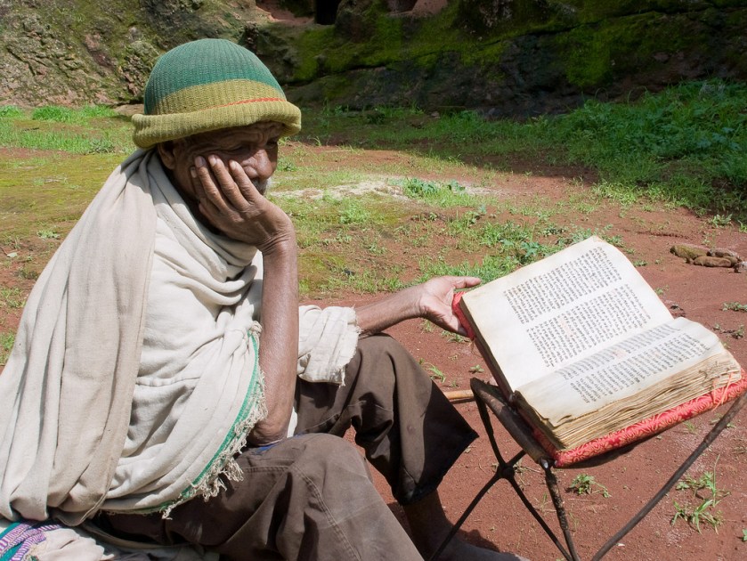 3668060306_88cc3d93fc_b