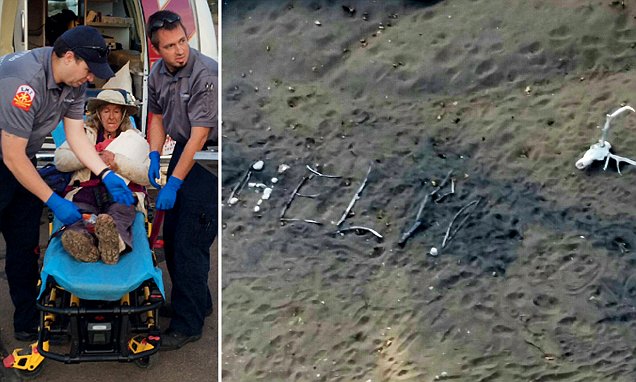 331de06200000578-0-image-a-37_1460507569810