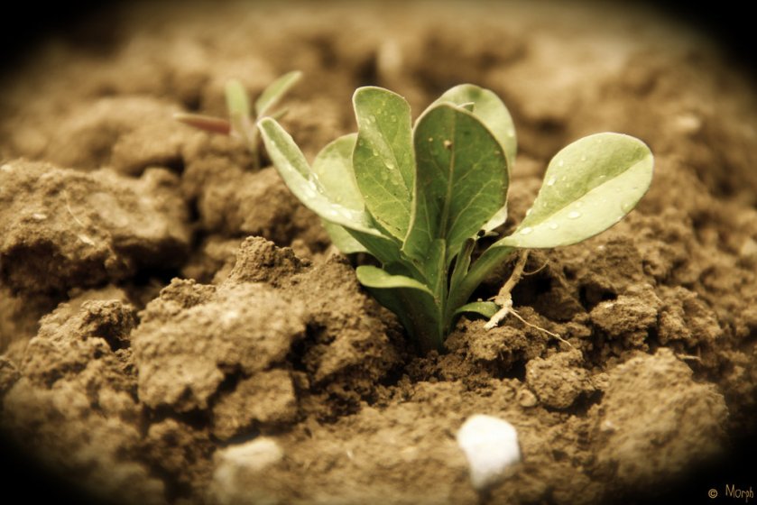 birth_of_all_hope_by_mr_morph-d62i5un