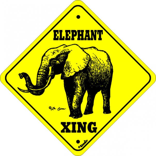 10391950_188167515921_1482952_n