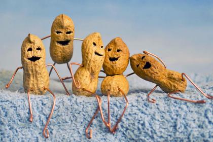 a-the_peanut_gallery-1577449