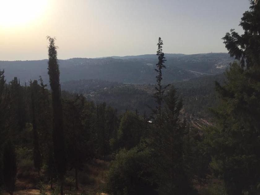 19989298_10154812791490922_6437841928736015135_n