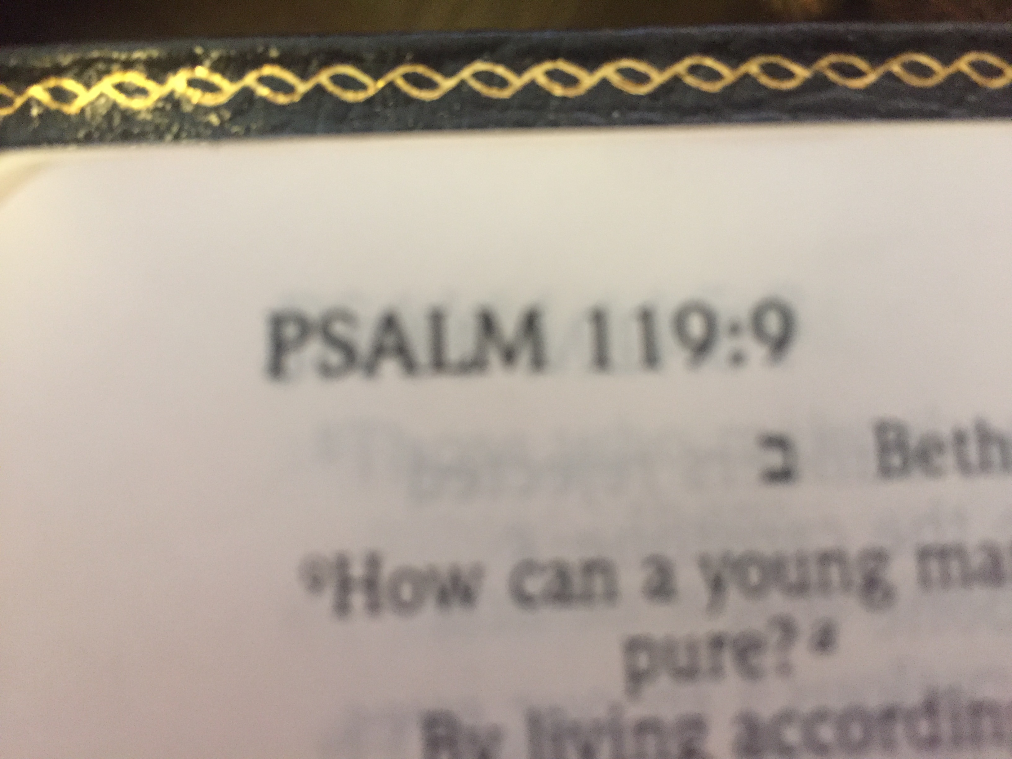 psalm119