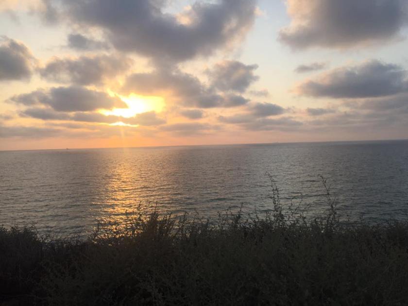 19665168_10154786065705922_4212207286760349522_n