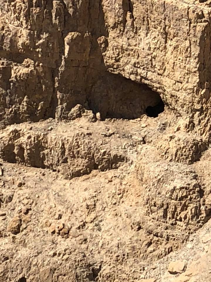 29062594_10215100748250240_2565927107465052160_n