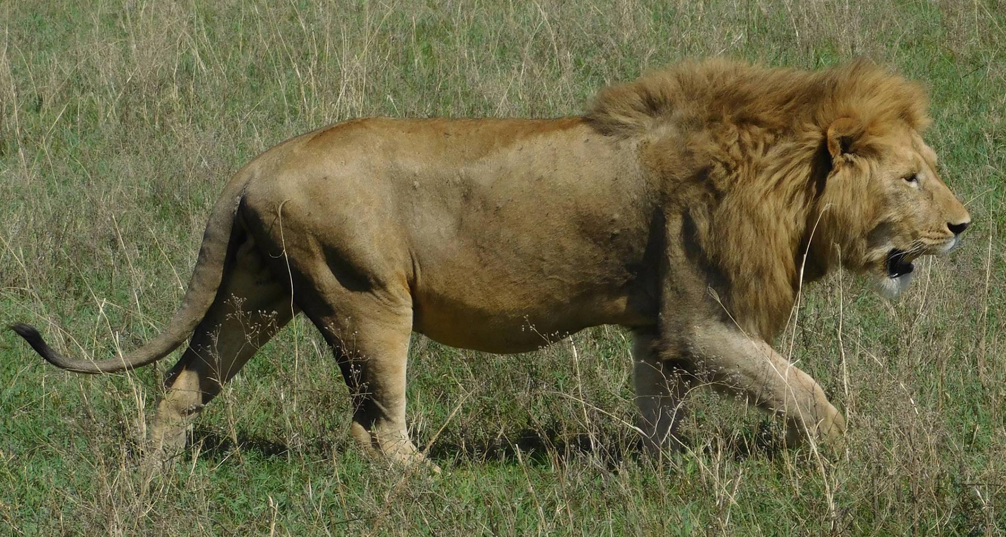 25073405_10155181501925922_4154416753663879067_o