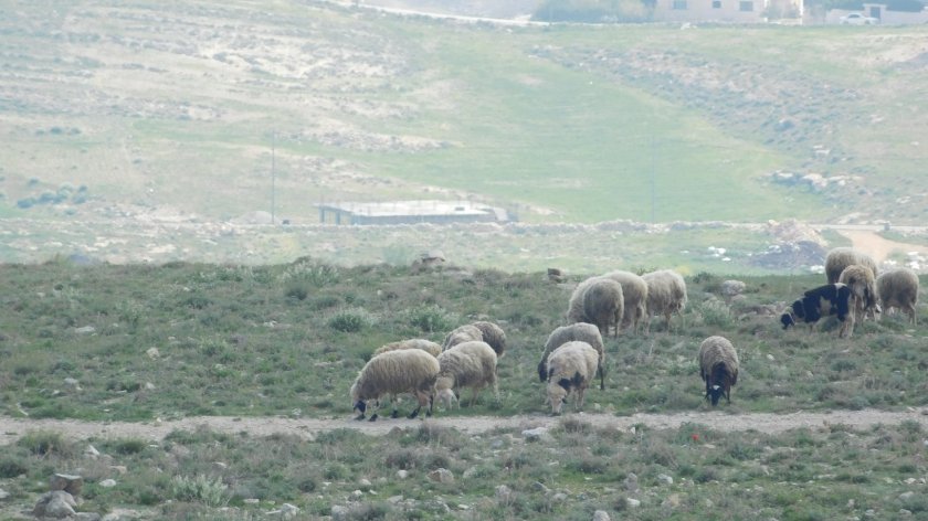 29342598_10155419194005922_4642581449059336192_o