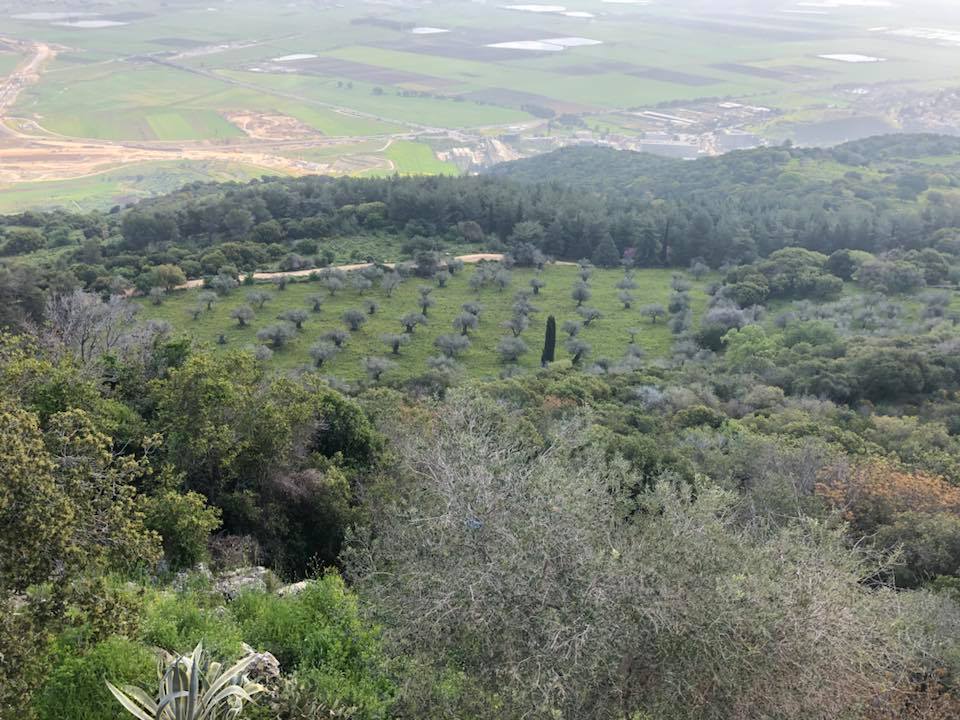 28661198_10215059820467071_276448063235616888_n