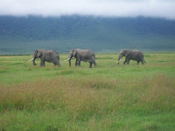 3244_1152072760143_2041966_n