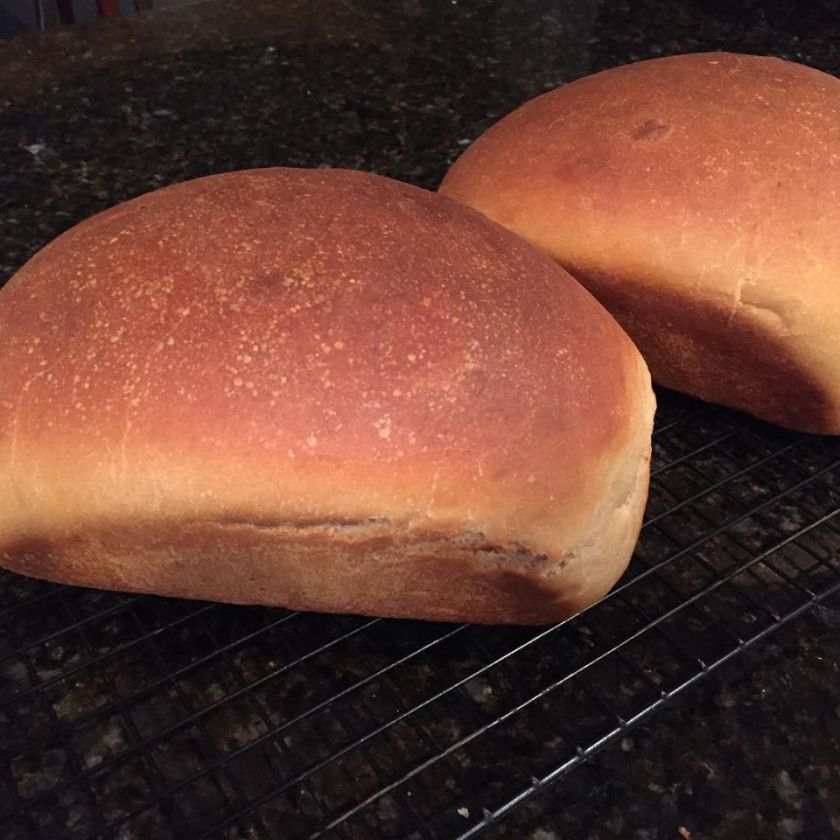 12764594_10208245679077795_625453659382235834_o