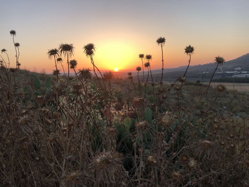 66510003_10156443547920922_292784965630820352_o