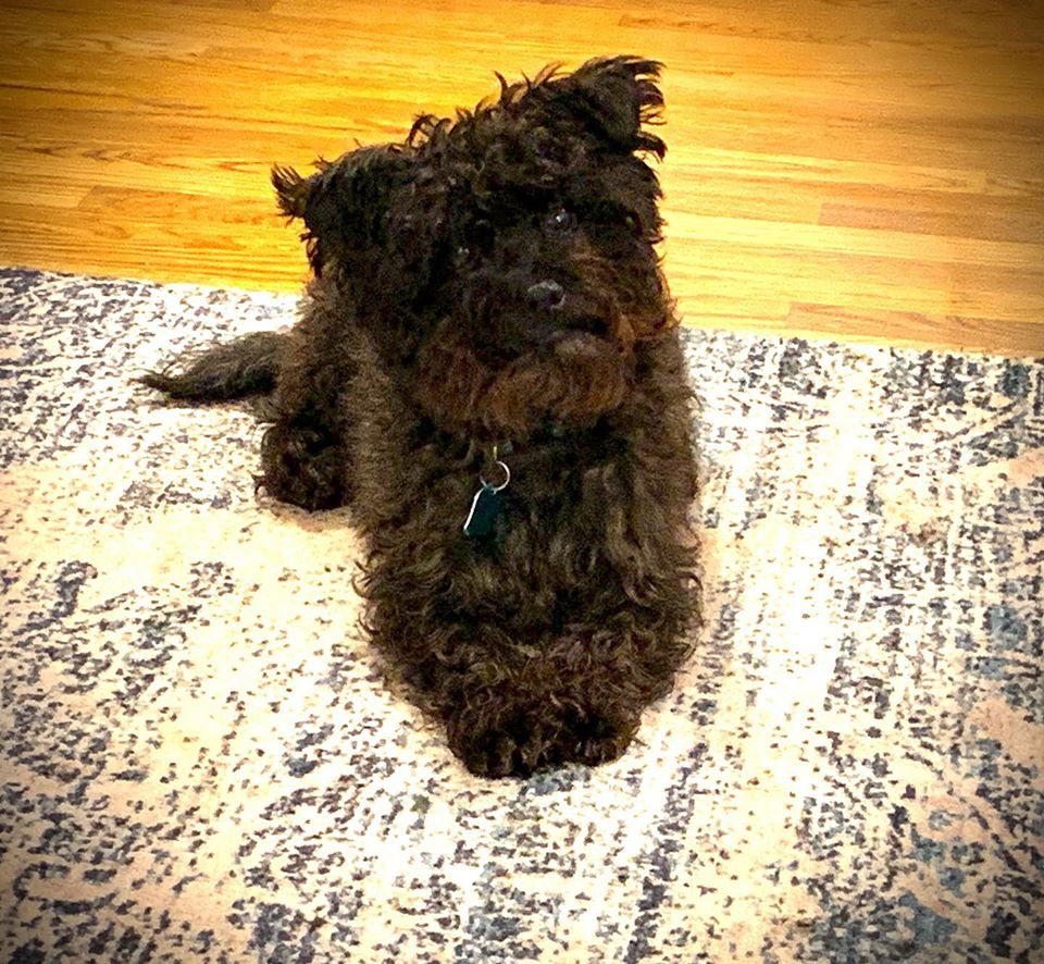 82191052_10220859791302717_8552934994933186560_o