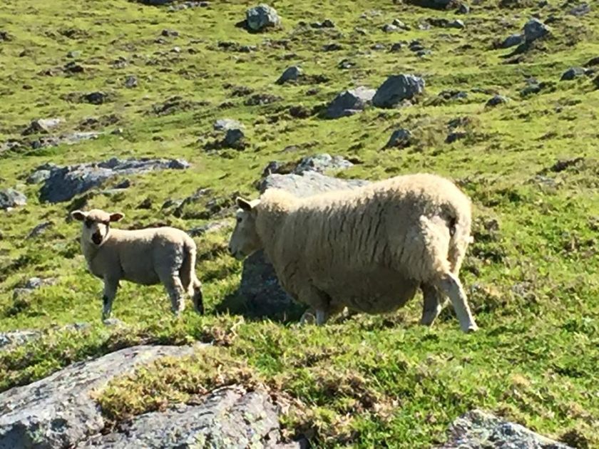 12194600_10153259351415922_5422029149569280206_o