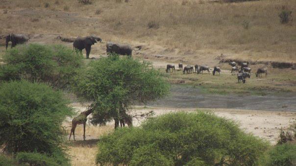 23131823_10155089718695922_7691536111229550439_n