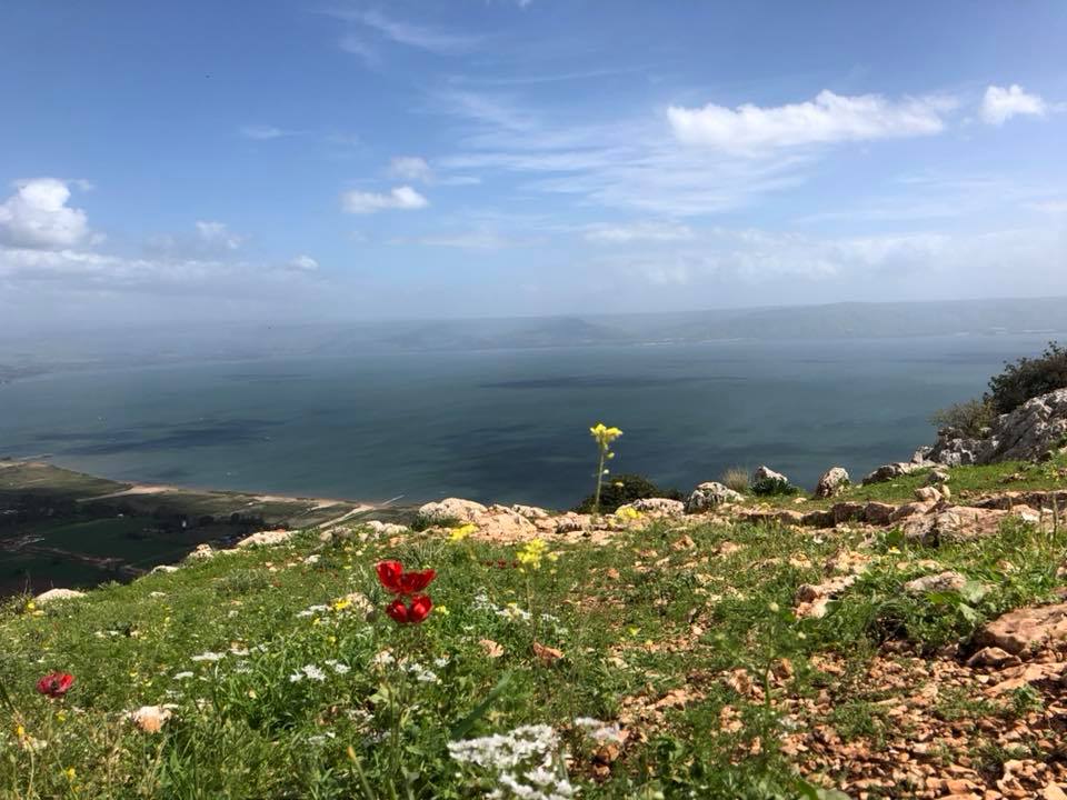 67838971_10156520118915922_8108397968467427328_n