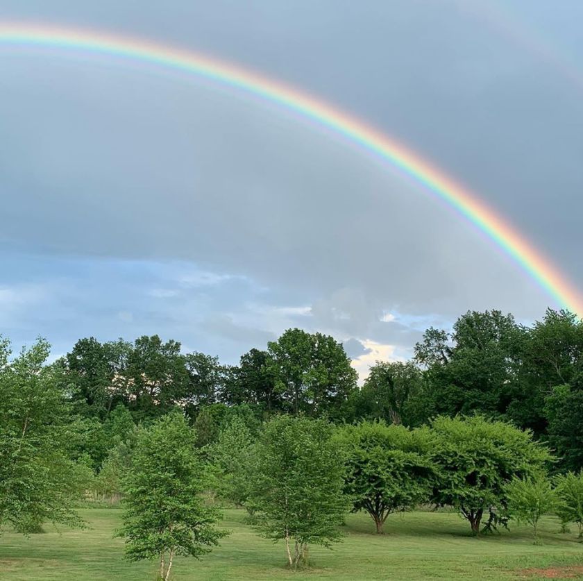 98076001_10222323083564109_2429609840536977408_o