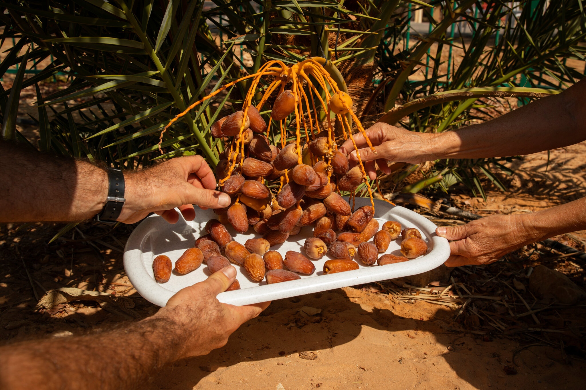 merlin_176514033_28188a63-cc1a-4821-a4b9-18fb88a09191-superjumbo